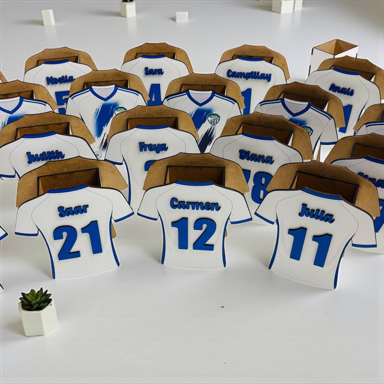 ¡CAMISETA de FUTBOL LAPICERO!