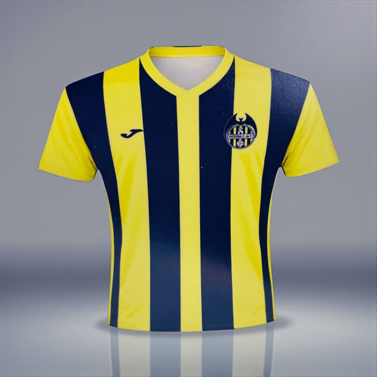 ¡CAMISETA de FUTBOL LAPICERO!