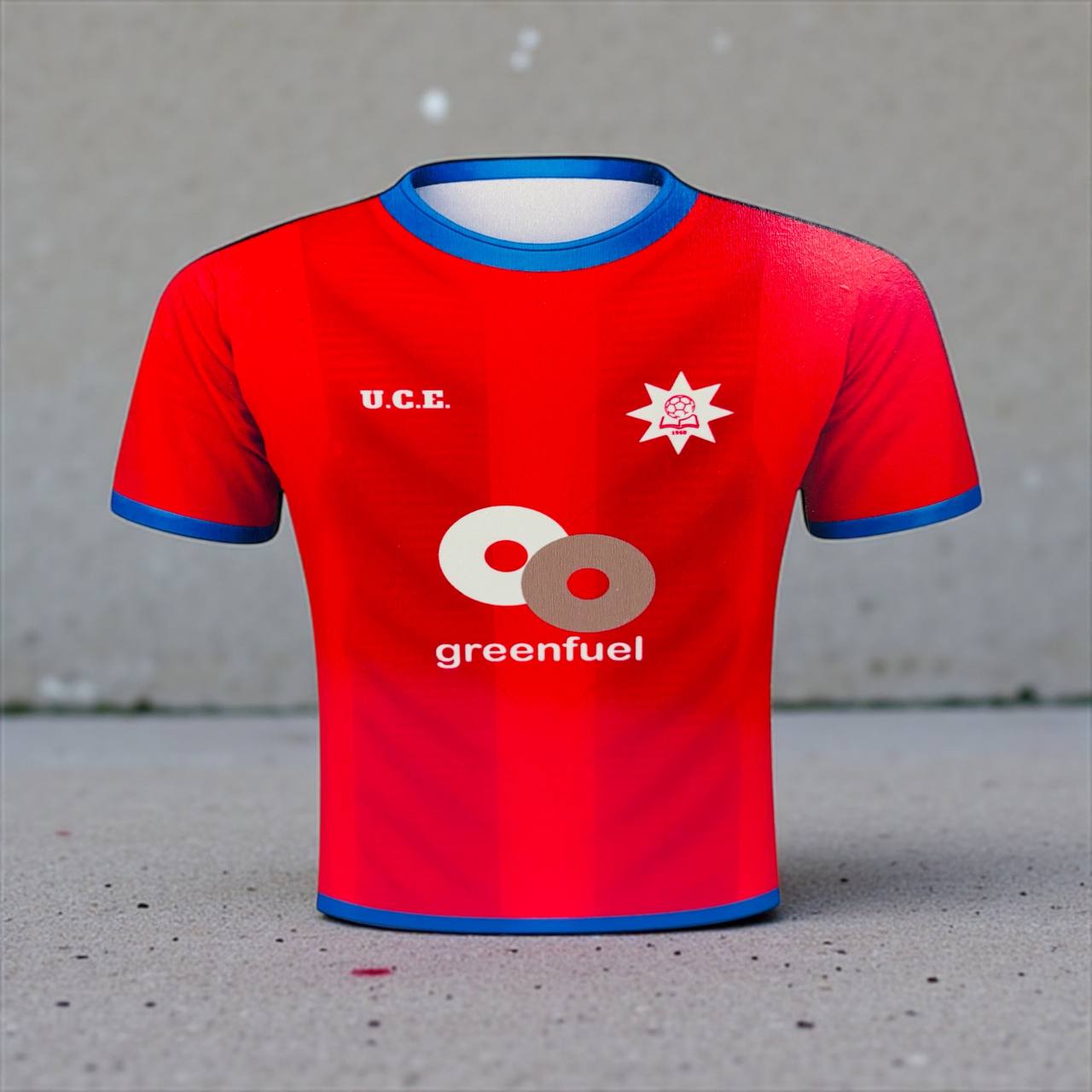¡CAMISETA de FUTBOL LAPICERO!