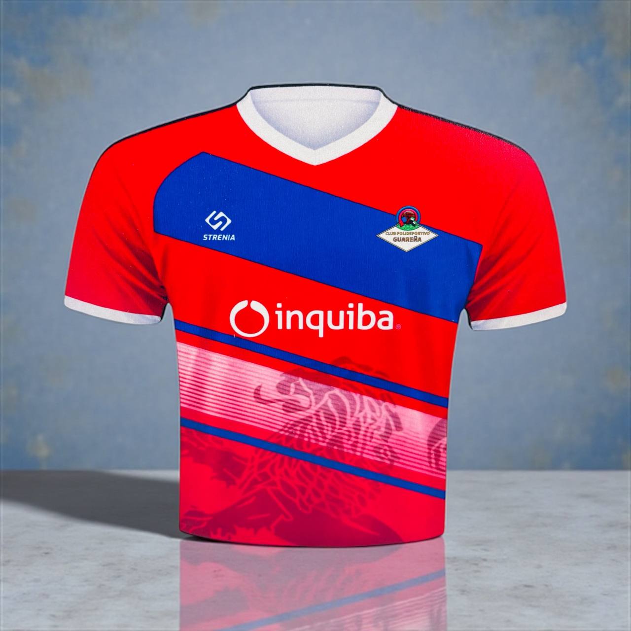 ¡CAMISETA de FUTBOL LAPICERO!