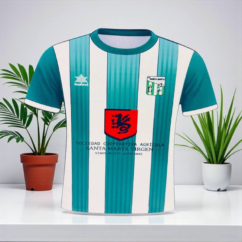 ¡CAMISETA de FUTBOL LAPICERO!